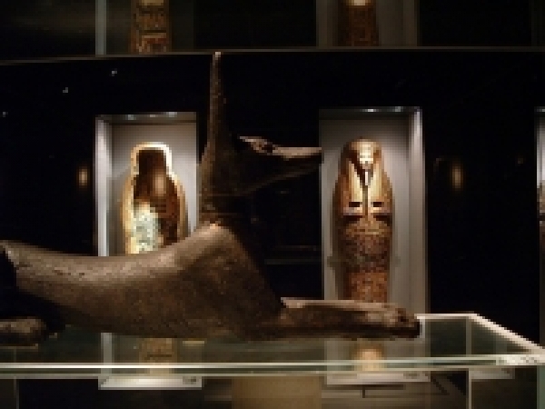 Excursión de un día al Museo de Luxor y el Museo de la momificación