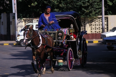 Cultural City Tour in Aswan by Horse-Drawn Carriage