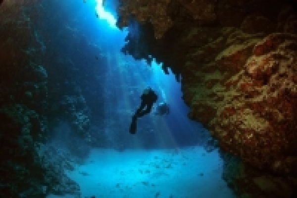 Viaje de Safari a Dahab con paseo en camello y bucear en el Hulla  azul de Sharm el Sheikh