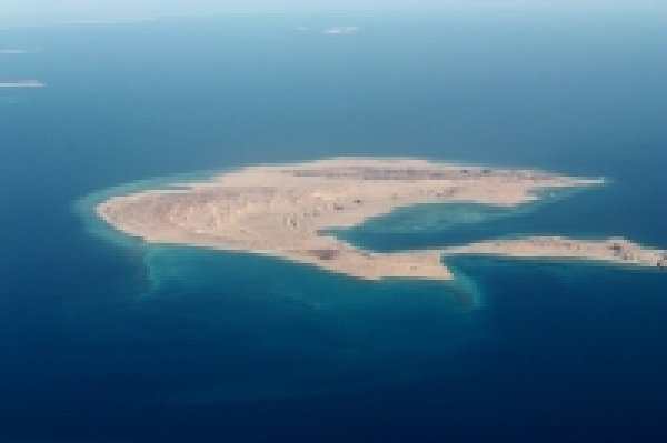 Excursión de un día a la isla de Tirán de Sharm el Sheikh