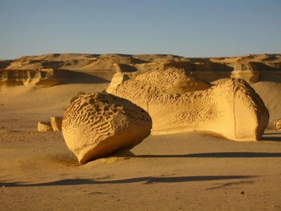 Overnight Tour to Fayoum Oasis and Wadi Hitan from Cairo