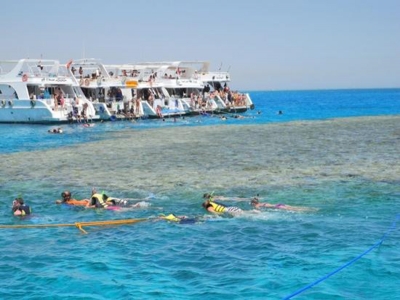 Day Trip to Tiran Island from Sharm el Sheikh